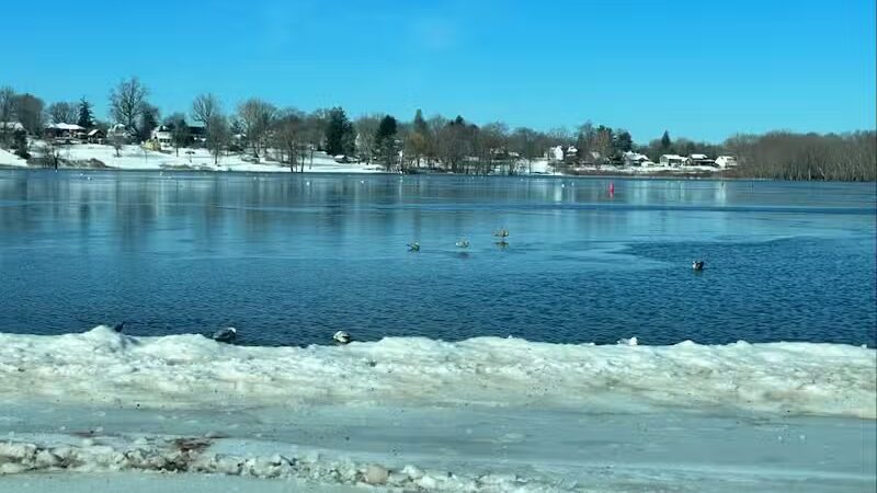 Cove Park Wethersfield - Wethersfield, CT