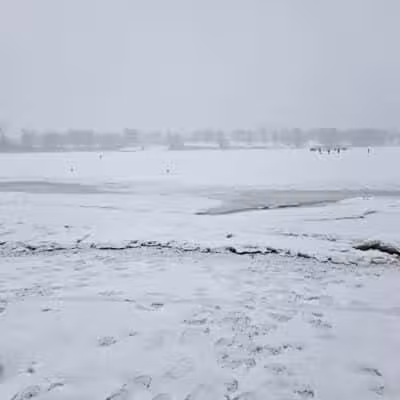 Cove Park Wethersfield - Wethersfield, CT