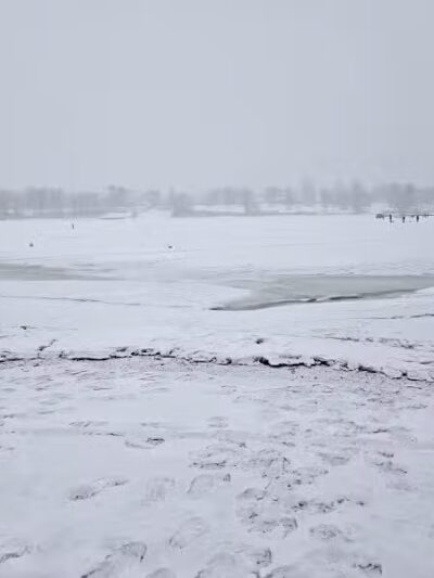 Cove Park Wethersfield - Wethersfield, CT