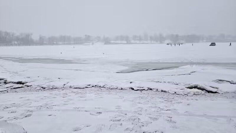 Cove Park Wethersfield - Wethersfield, CT