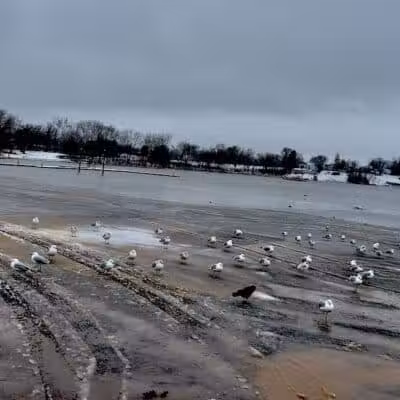 Cove Park Wethersfield - Wethersfield, CT