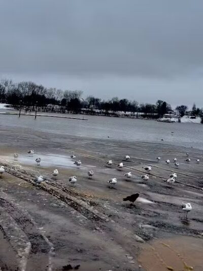 Cove Park Wethersfield - Wethersfield, CT