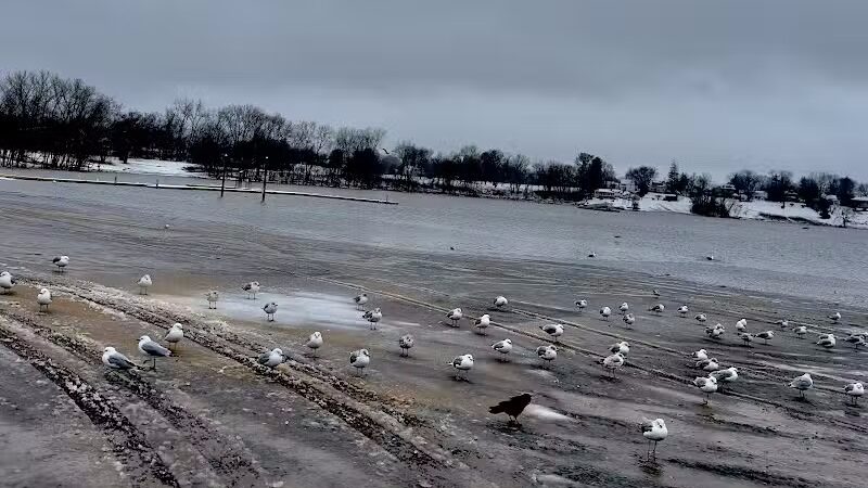 Cove Park Wethersfield - Wethersfield, CT