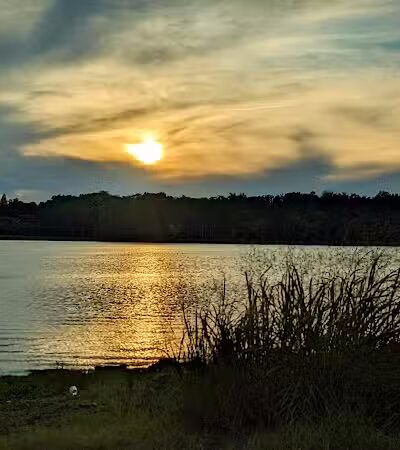 Cove Park Wethersfield - Wethersfield, CT