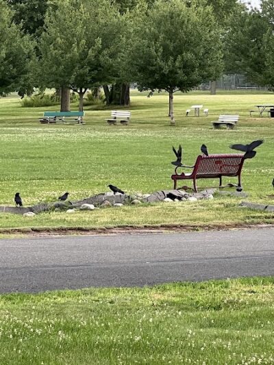 Mill Woods Park - Wethersfield, CT