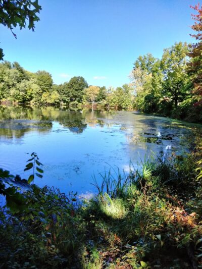 Mill Woods Park - Wethersfield, CT