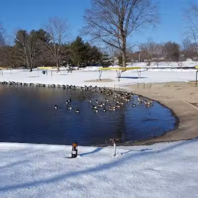 Mill Woods Park - Wethersfield, CT