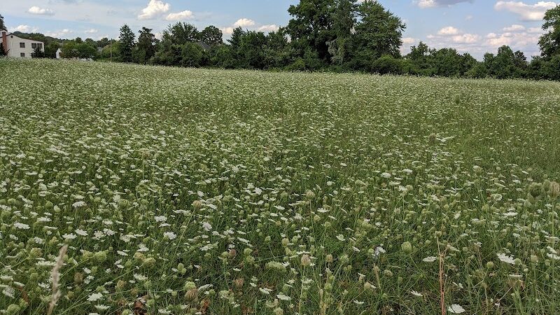 Wilkus Farm Preserved Open Space - Wethersfield, CT