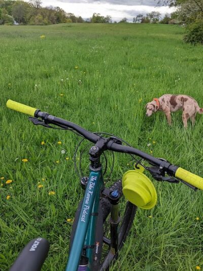 Wilkus Farm Preserved Open Space - Wethersfield, CT
