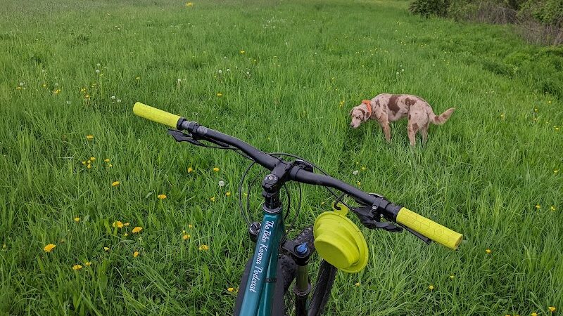 Wilkus Farm Preserved Open Space - Wethersfield, CT
