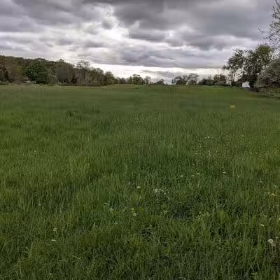 Wilkus Farm Preserved Open Space - Wethersfield, CT