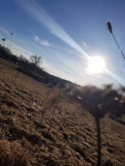 Wilkus Farm Preserved Open Space - Wethersfield, CT