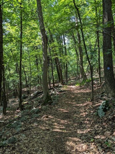 Irondale Mountain Trails - Wharton, NJ
