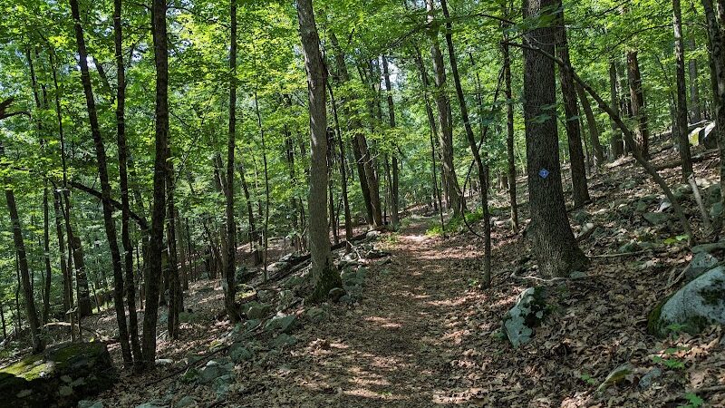 Irondale Mountain Trails - Wharton, NJ