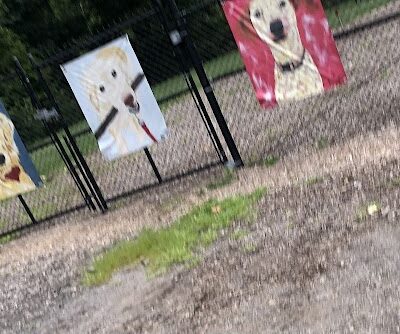 Fitzsimmons Family Garden Park Dog Park - Wheeling, WV