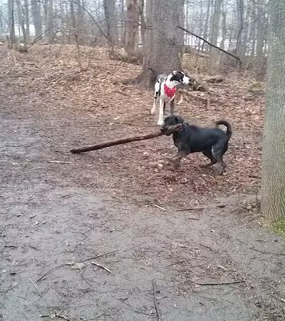 East Rumbrook Park - White Plains, NY