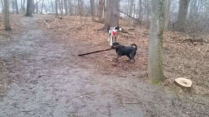East Rumbrook Park - White Plains, NY