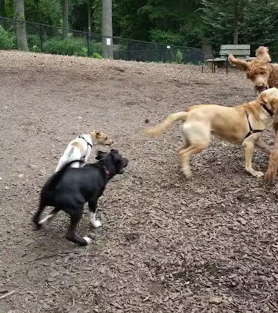 East Rumbrook Park - White Plains, NY