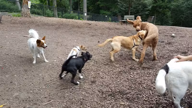 East Rumbrook Park - White Plains, NY