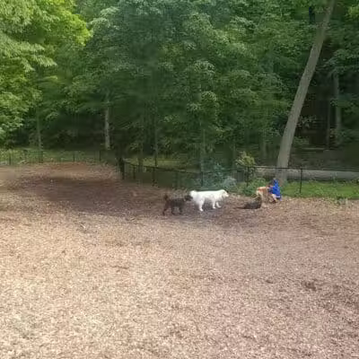 East Rumbrook Park - White Plains, NY