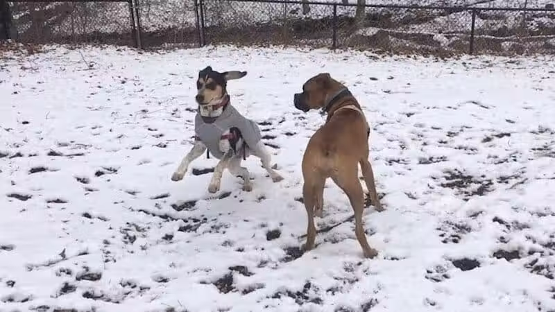East Rumbrook Park - White Plains, NY