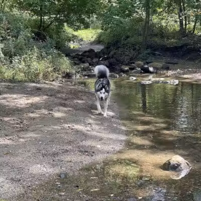 East Rumbrook Park - White Plains, NY
