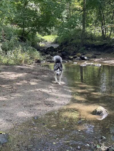East Rumbrook Park - White Plains, NY