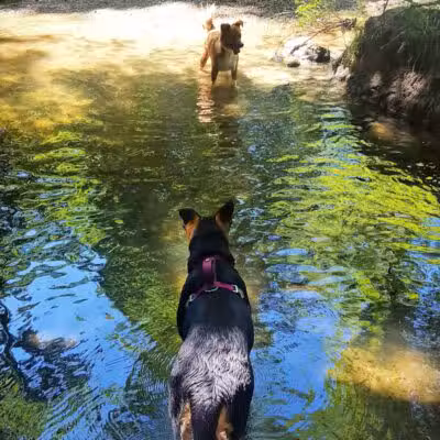 East Rumbrook Park - White Plains, NY