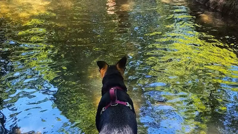 East Rumbrook Park - White Plains, NY