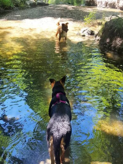 East Rumbrook Park - White Plains, NY