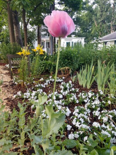 Oak Park Inn - Whitehall, WI