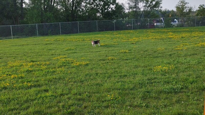 Bark Park - Whitewater, WI