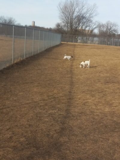 Bark Park - Whitewater, WI