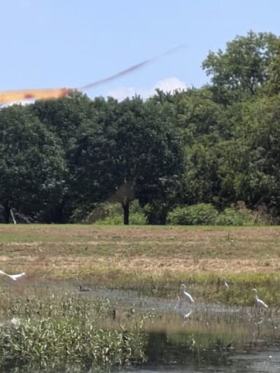 Buffalo Park - Wichita, KS