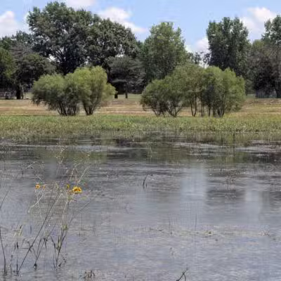 Buffalo Park - Wichita, KS