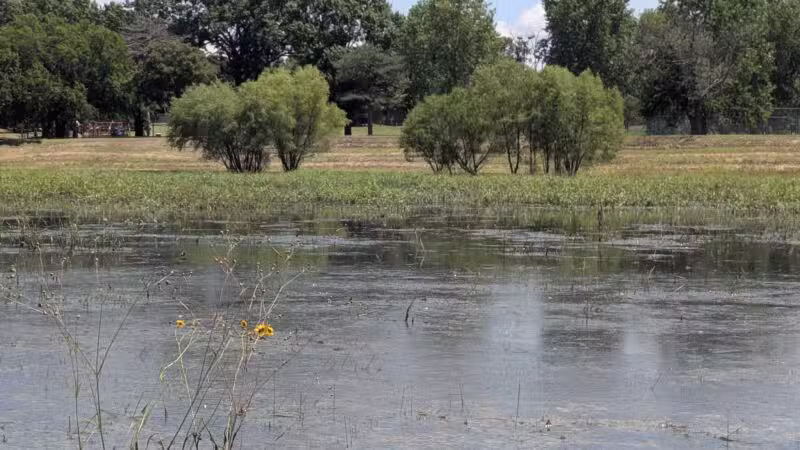 Buffalo Park - Wichita, KS