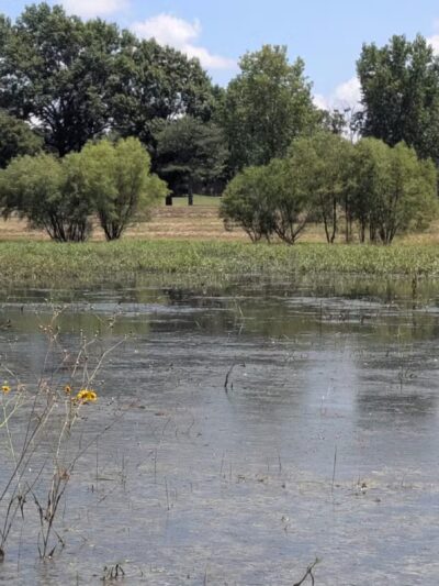 Buffalo Park - Wichita, KS