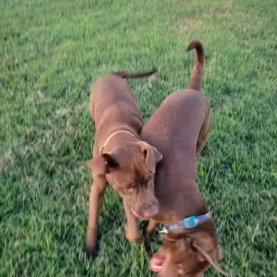 Chapin Park - Wichita, KS