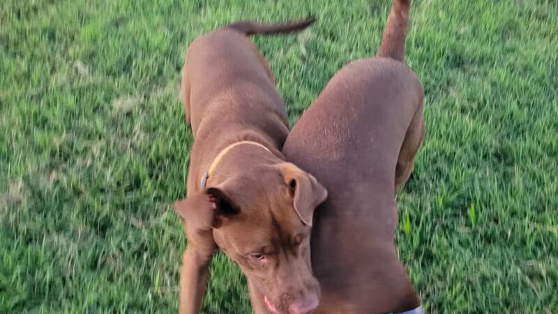 Chapin Park - Wichita, KS