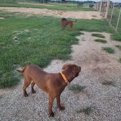 Chapin Park - Wichita, KS