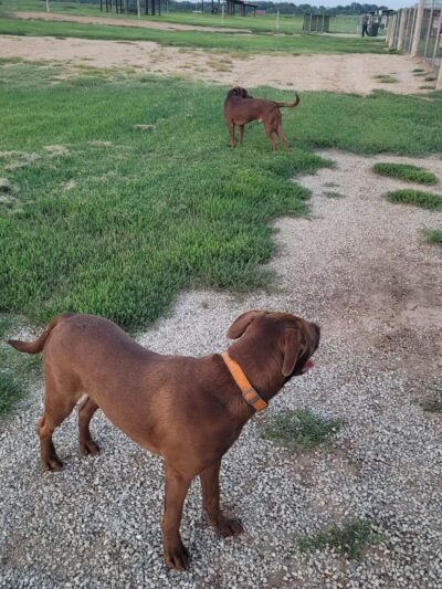 Chapin Park - Wichita, KS