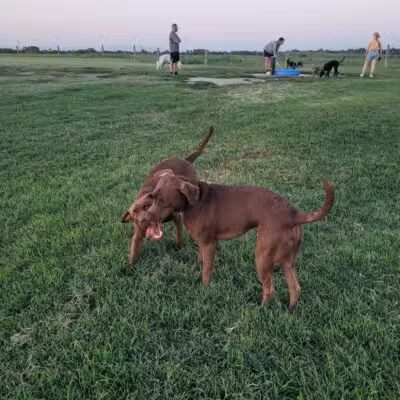 Chapin Park - Wichita, KS