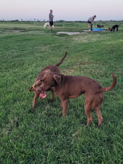 Chapin Park - Wichita, KS