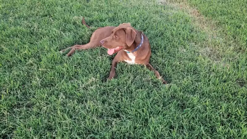 Chapin Park - Wichita, KS