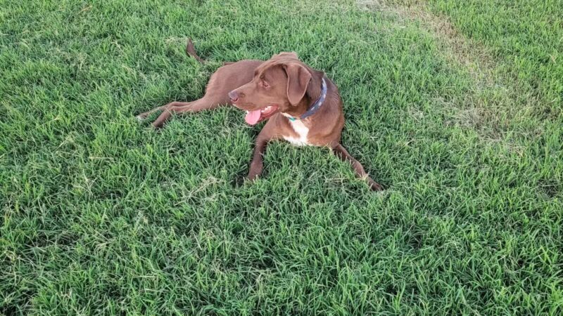 Chapin Park - Wichita, KS