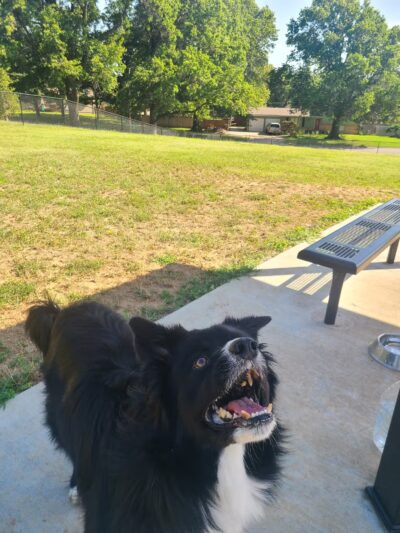 Country Acres Park - Wichita, KS