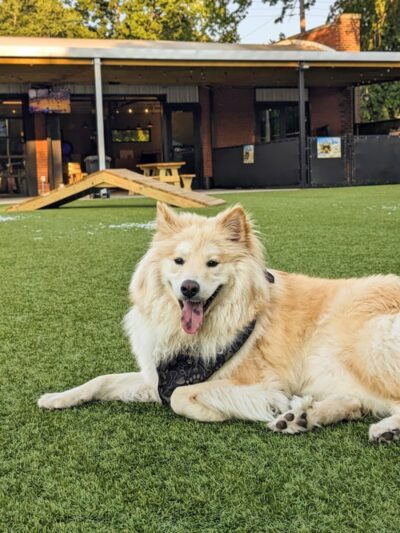 Barks & Brews - Wichita, KS