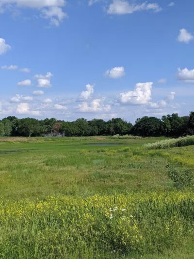 Buffalo Park - Wichita, KS