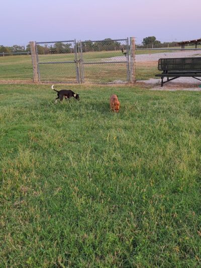 Chapin Park - Wichita, KS