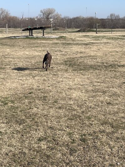 Chapin Park - Wichita, KS